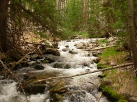 Baker Creek